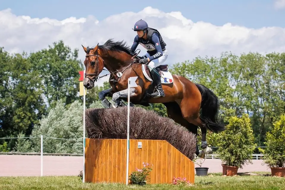 Rencontre avec Maxime LIVIO