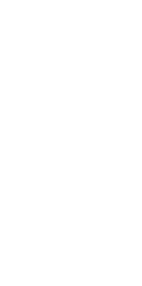 2 horses Trailers